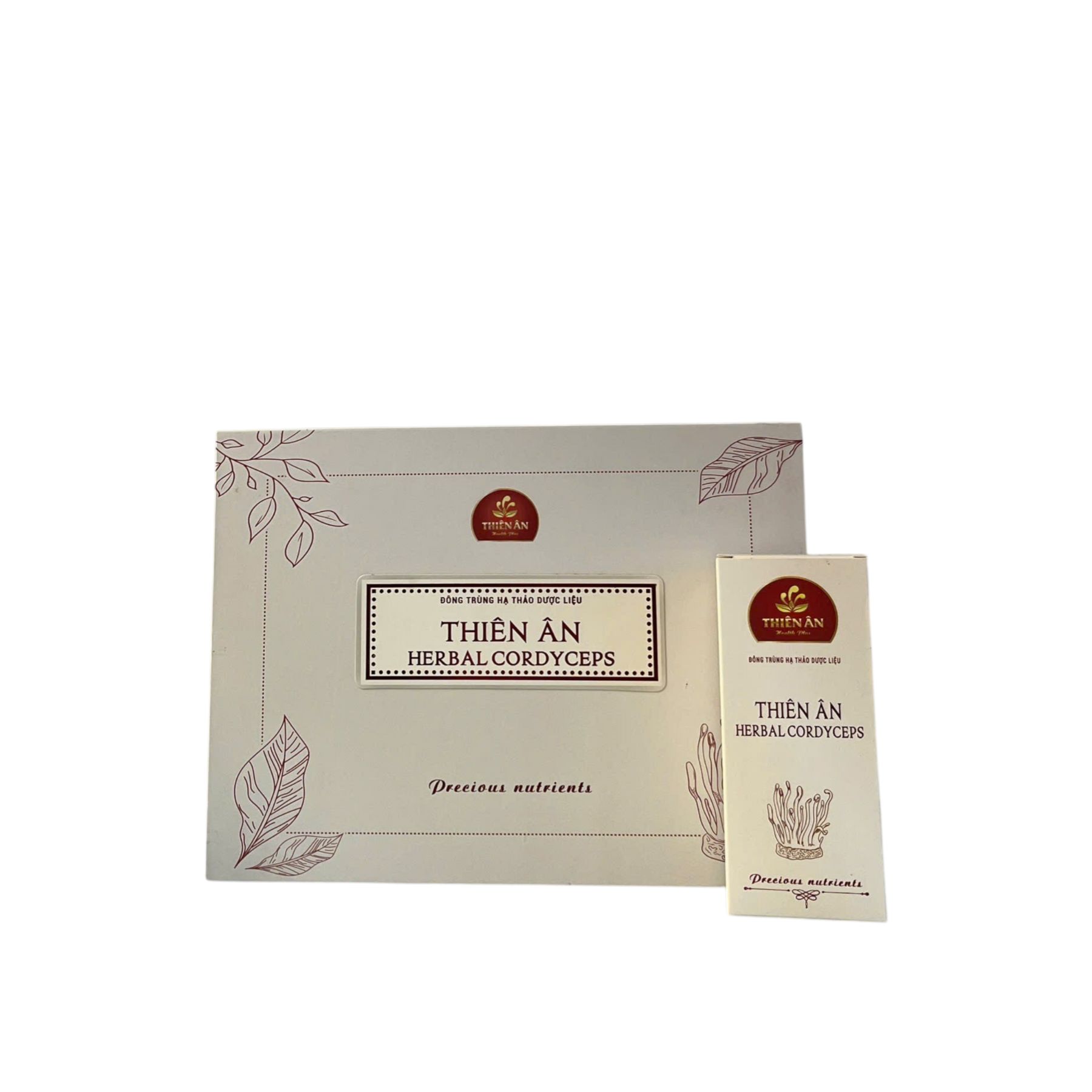 Hộp Đông Trùng Hạ Thảo Dược Liệu HỘP 60 GÓI (1G/GÓI)